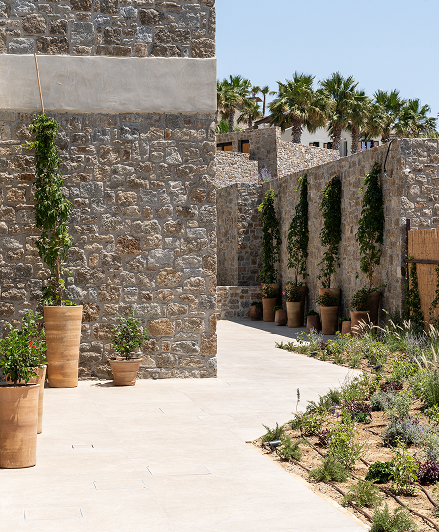 Sunlit walkway between stone walls with pots and climbing plants