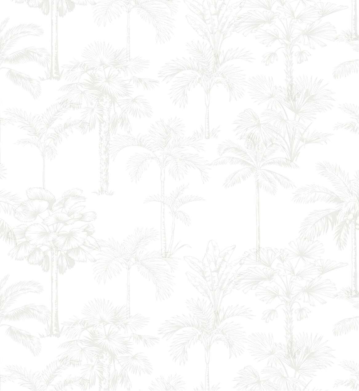 Tropicanasuitesandvillas Dining Pattern